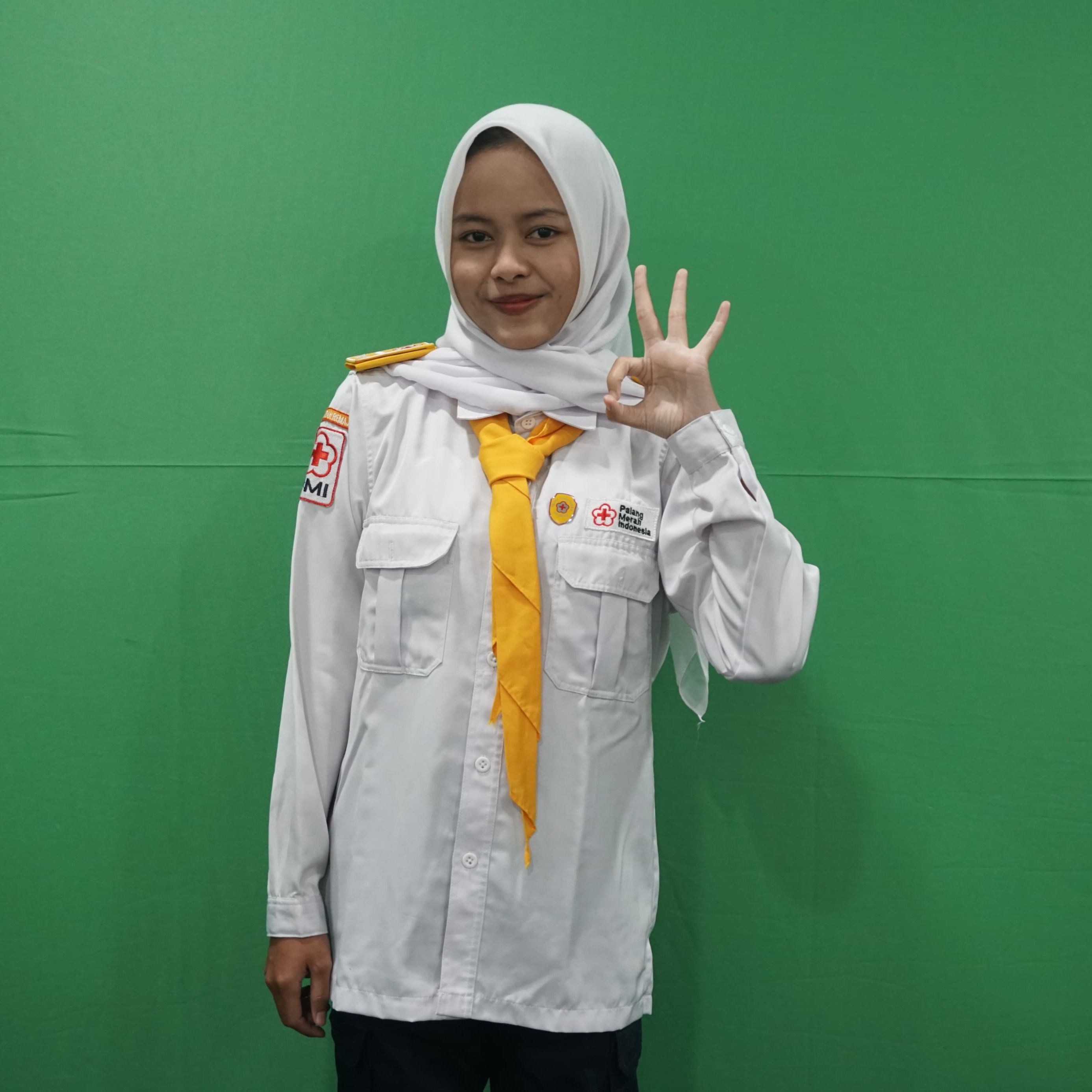 Foto Ketua Umum PMR Wira